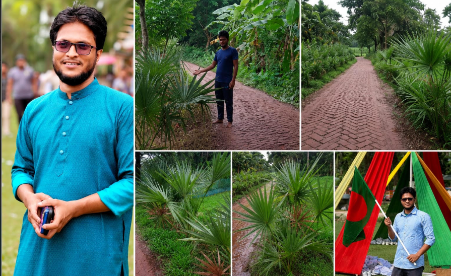 ৫ হাজার গাছে সবুজের স্বপ্ন, উজিরপুরের তরুণ হিমেলের ব্যতিক্রমী উদ্যোগ