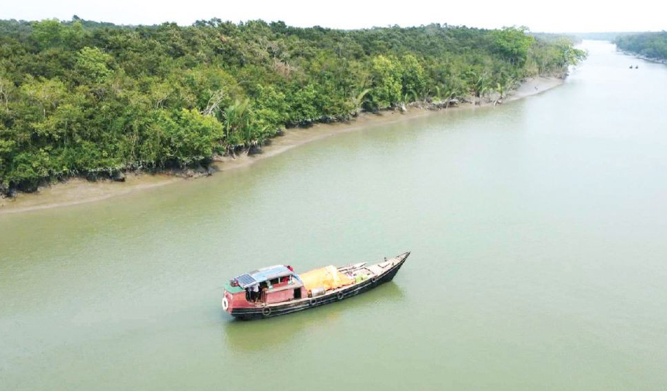 তিন মাস পর ১ সেপ্টেম্বর খুলছে সুন্দরবন